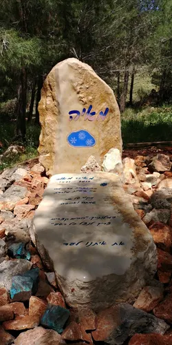 מק'ט 61. מצבה מיוחדת