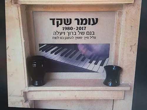 מק'ט 262. קיר תמונה פסנתר