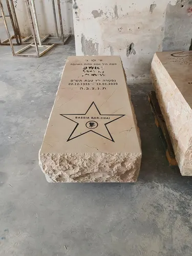 מק'ט 492. שוכבת מיוחדת