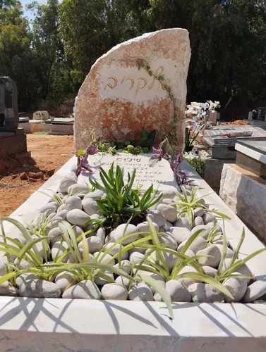 מק'ט 569. מצבה מיוחדת