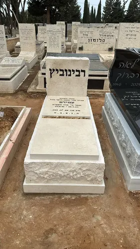 מצבה משפחתית - תמונה מספר 2054
