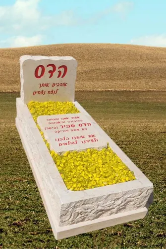 מצבה מיוחדת - מתוך קטלוג תמונות מצבות מיוחדות 102