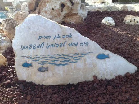 דוגמה - מצבות מאבן טבעית